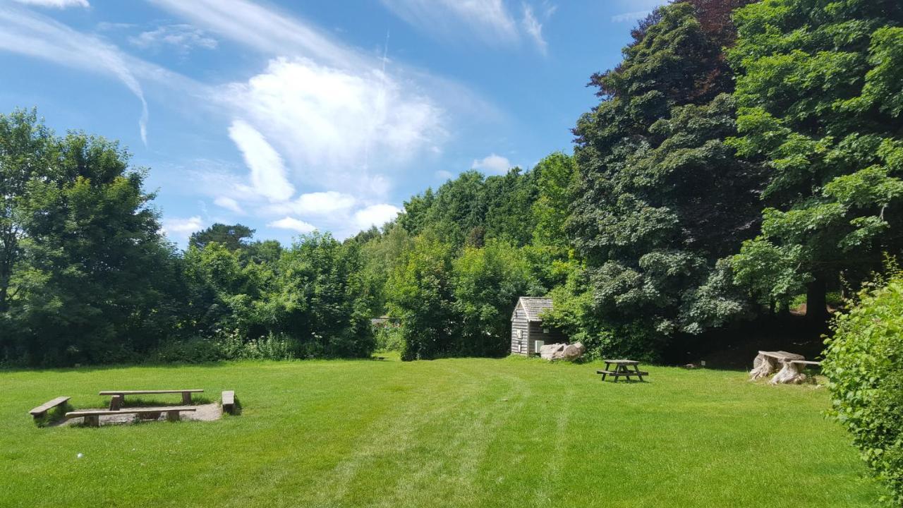 South Downs Eco Lodge & Camping East Meon Exterior foto